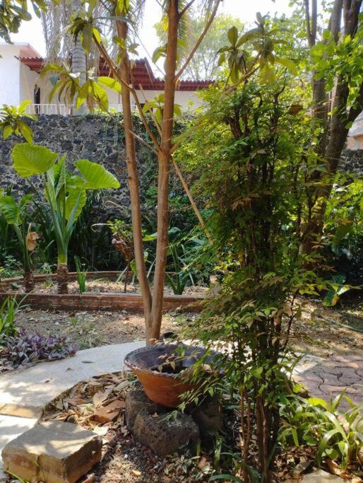 Villa Linda Casa En Tepoztlan Centro 1 Extérieur photo